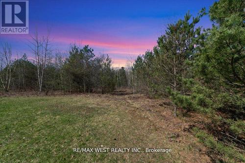 4 - 8450 Concession Road, Adjala-Tosorontio, ON - Outdoor With View