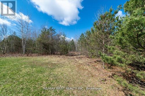 4 - 8450 Concession Road, Adjala-Tosorontio, ON - Outdoor With View