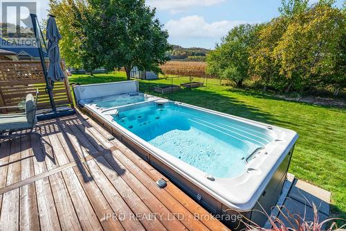 187 Lewis Road, Hamilton, ON - Outdoor With Above Ground Pool With Deck Patio Veranda