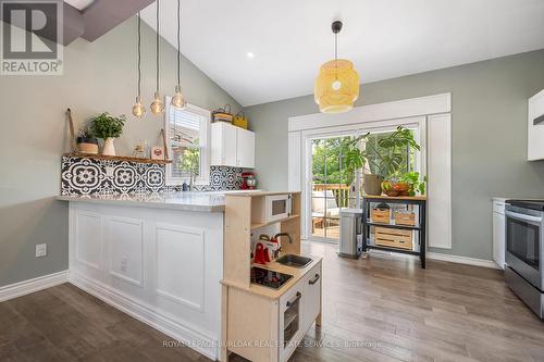 195 Wood Street E, Hamilton, ON - Indoor Photo Showing Kitchen With Upgraded Kitchen