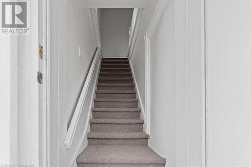 Staircase featuring ornamental molding and carpet - 635 Laurel Street Unit# Upper Unit, Cambridge, ON - Indoor Photo Showing Other Room