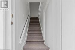 Staircase featuring ornamental molding and carpet - 