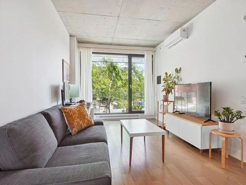 Salon - 206-3043 Rue Sherbrooke E., Montréal (Rosemont/La Petite-Patrie), QC - Indoor Photo Showing Living Room