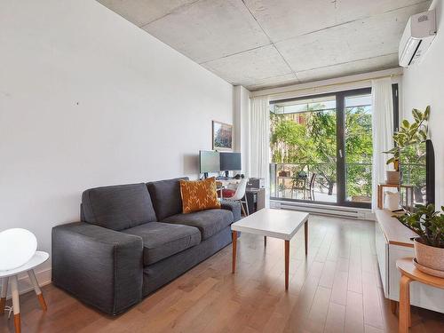 Salon - 206-3043 Rue Sherbrooke E., Montréal (Rosemont/La Petite-Patrie), QC - Indoor Photo Showing Living Room