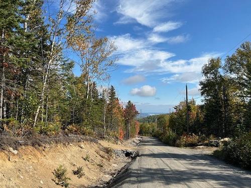 Rue - Ch. St-Flavien, Baie-Saint-Paul, QC 