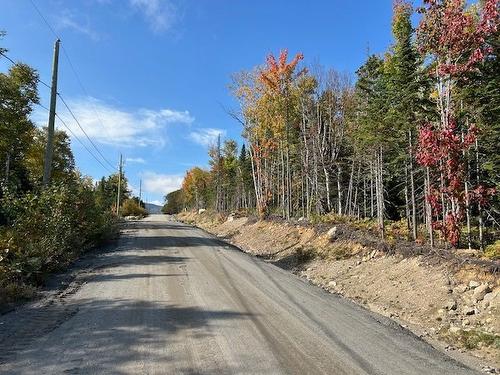 Rue - Ch. St-Flavien, Baie-Saint-Paul, QC 