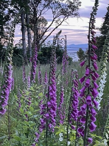 Lot B-7713 Lantzville Rd, Lantzville, BC 