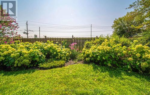 595 Foxrun Court, Oshawa (Pinecrest), ON - Outdoor