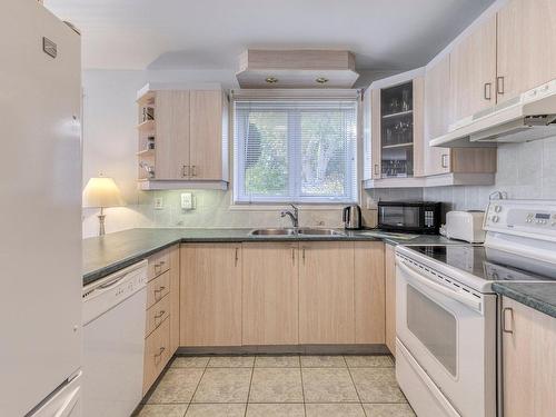 Kitchen - 8953 Rue Bellerive, Montréal (Mercier/Hochelaga-Maisonneuve), QC - Indoor Photo Showing Kitchen With Double Sink