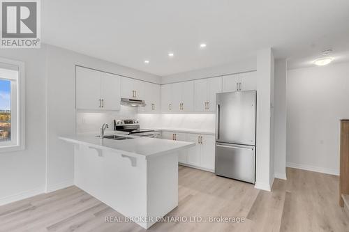 55 Dryden Lane, Hamilton, ON - Indoor Photo Showing Kitchen With Double Sink