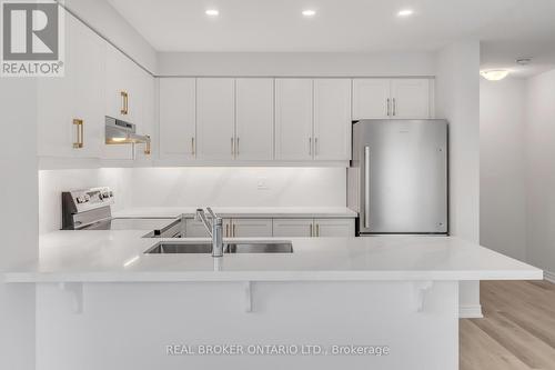 55 Dryden Lane, Hamilton, ON - Indoor Photo Showing Kitchen With Double Sink