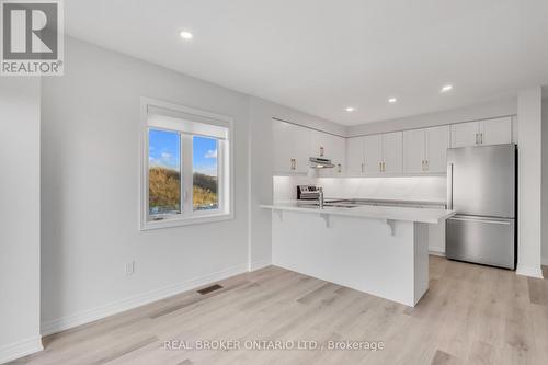 55 Dryden Lane, Hamilton, ON - Indoor Photo Showing Kitchen