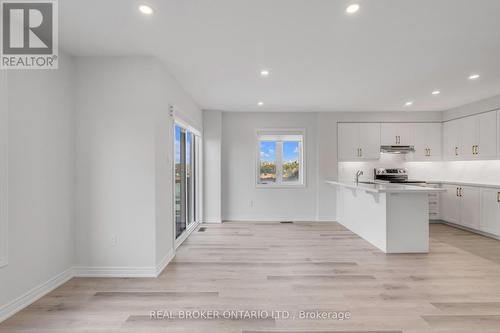 55 Dryden Lane, Hamilton, ON - Indoor Photo Showing Kitchen