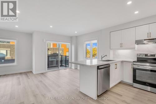 55 Dryden Lane, Hamilton, ON - Indoor Photo Showing Kitchen With Stainless Steel Kitchen With Upgraded Kitchen