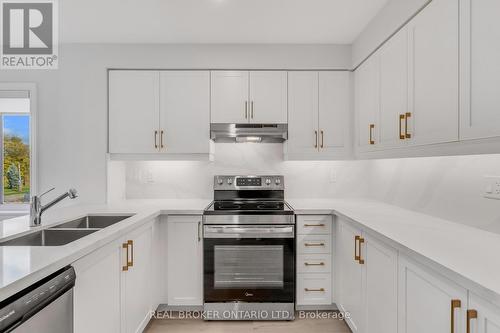 55 Dryden Lane, Hamilton, ON - Indoor Photo Showing Kitchen With Stainless Steel Kitchen With Double Sink With Upgraded Kitchen