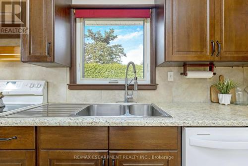 13596 4 Line, Halton Hills, ON - Indoor Photo Showing Kitchen With Double Sink