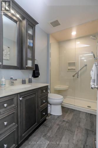 22 Cook Crescent, St. Thomas, ON - Indoor Photo Showing Bathroom