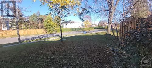 View behind the backyard - 162 Woodfield Drive, Ottawa, ON - Outdoor