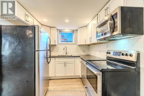 Lower - 12 Argyle Drive, Guelph, ON - Indoor Photo Showing Kitchen With Double Sink