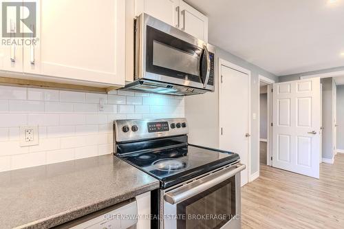 Lower - 12 Argyle Drive, Guelph, ON - Indoor Photo Showing Kitchen