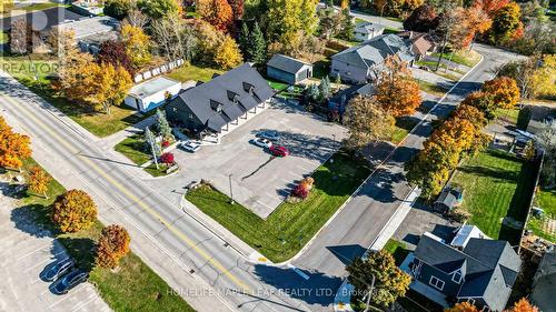 14 Webb Street E, East Luther Grand Valley, ON - Outdoor With View