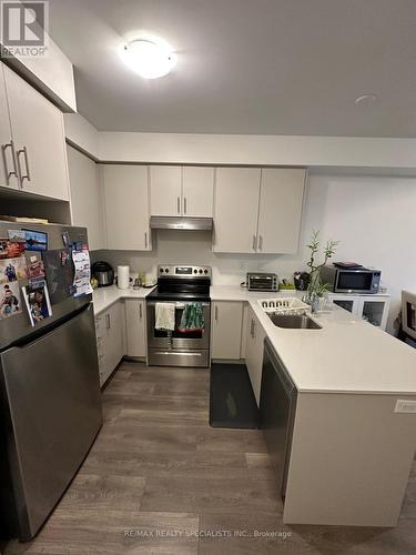 380 Twinflower Place, Milton, ON - Indoor Photo Showing Kitchen With Stainless Steel Kitchen