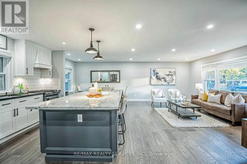 119 Court Street N, Milton, ON - Indoor Photo Showing Kitchen With Upgraded Kitchen