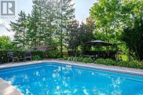 613 Christopher Road, Peterborough (Ashburnham), ON - Outdoor With In Ground Pool With Backyard