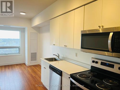 602 - 1 Wellington Street, Brantford, ON - Indoor Photo Showing Kitchen