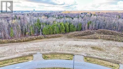 10 Private Berry Drive, Amaranth, ON 