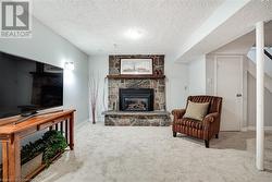 Lower level family room with gas fireplace - 