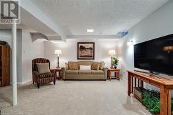 Lower levell family room - 