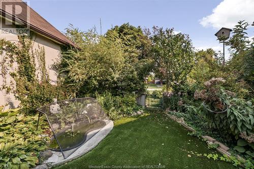 2337 Rossini, Windsor, ON - Outdoor