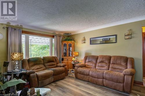 177 Ontario Street, Brantford, ON - Indoor Photo Showing Living Room