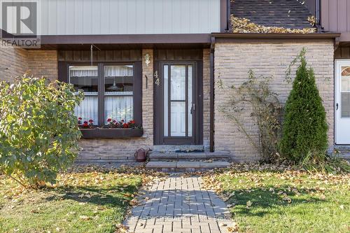 44 - 6650 Falconer Drive, Mississauga, ON - Outdoor