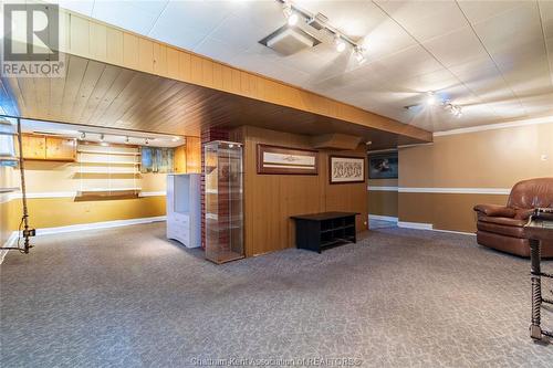 540 Elizabeth Street, Wallaceburg, ON - Indoor Photo Showing Basement