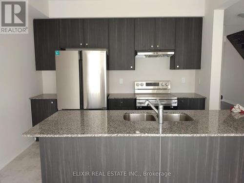 195 Spitfire Drive, Hamilton, ON - Indoor Photo Showing Kitchen With Double Sink With Upgraded Kitchen