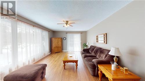 125 Griffith Wagner Road, Golden Lake, ON - Indoor Photo Showing Living Room