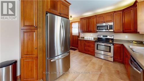 125 Griffith Wagner Road, North Algona Wilberforce, ON - Indoor Photo Showing Kitchen With Double Sink