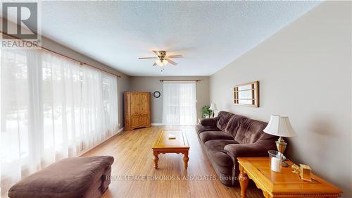 125 Griffith Wagner Road, North Algona Wilberforce, ON - Indoor Photo Showing Living Room