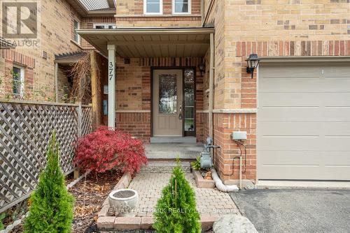 377 Kittridge Road, Oakville, ON - Outdoor