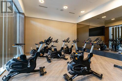 512 - 30 Inn On The Park Drive, Toronto, ON - Indoor Photo Showing Gym Room