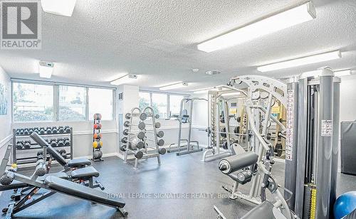 1204 - 3700 Kaneff Crescent, Mississauga, ON - Indoor Photo Showing Gym Room