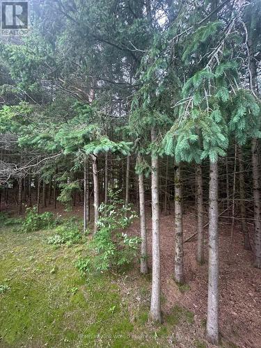 1 - 18 Loggers Trail, Whitchurch-Stouffville, ON - Outdoor