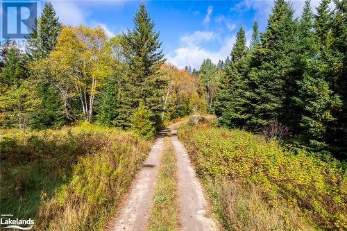 Lot 3 & 4 Lawson Road, Kearney, ON 