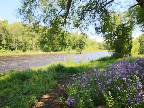 Waterfront - 30  - 34 Ch. Du Nord-Du-Rocher, Saint-Pacôme, QC - Outdoor With View