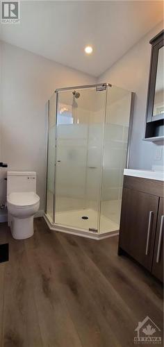 2300 Elmira Drive, Ottawa, ON - Indoor Photo Showing Bathroom