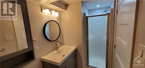 2300 Elmira Drive, Ottawa, ON - Indoor Photo Showing Bathroom