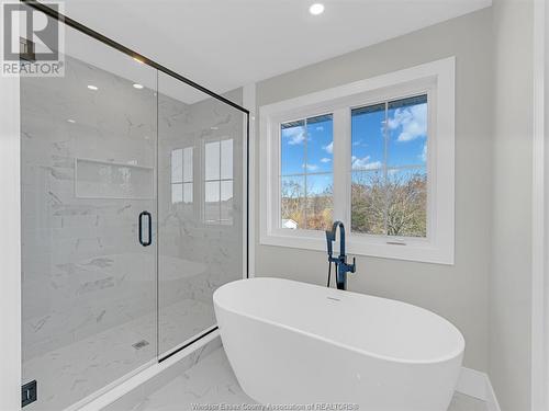 21212 Erie Street South, Wheatley, ON - Indoor Photo Showing Bathroom