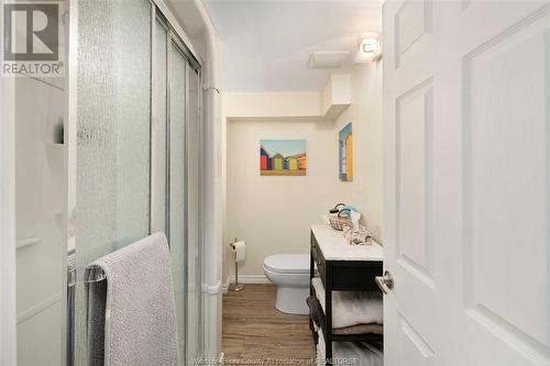 1289 Virginia, Windsor, ON - Indoor Photo Showing Bathroom